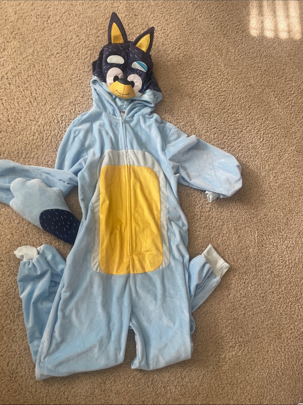 Adult Bluey costume